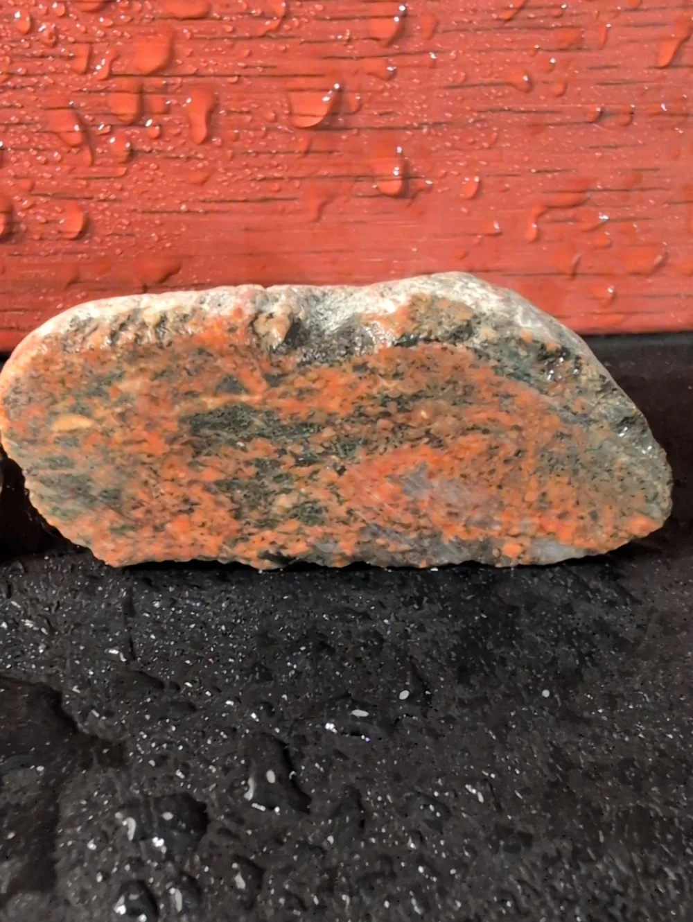 Agate #51